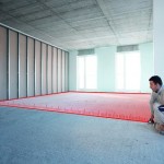 Leica DISTO DXT Area PIC